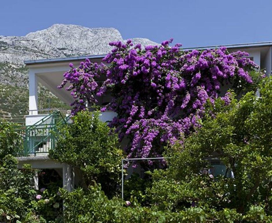 Appartement House Marta à Baška Voda Extérieur photo
